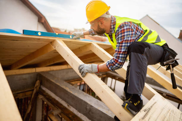 Best Roof Gutter Cleaning  in Orangevale, CA